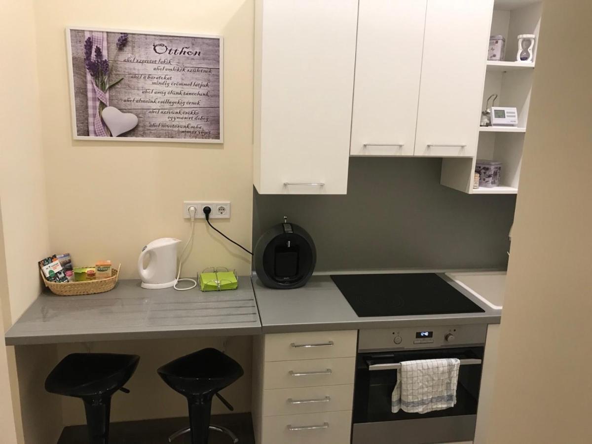 Classic Apartman 塞格德 外观 照片